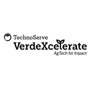 magnific_convert-the-uploaded-logo_xgt7OLxjfW